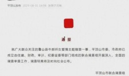 鲁山县最新爆料案件公告,案情揭秘，真相大白！
